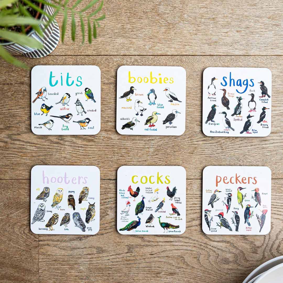 Set of 6 Bird Pun Coasters