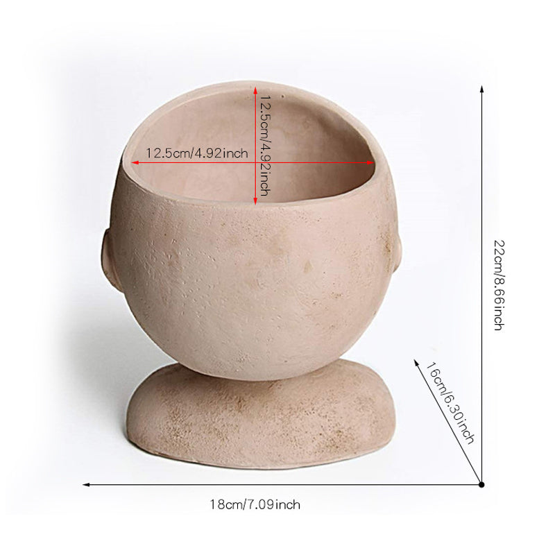 Pot de planteur de visage
