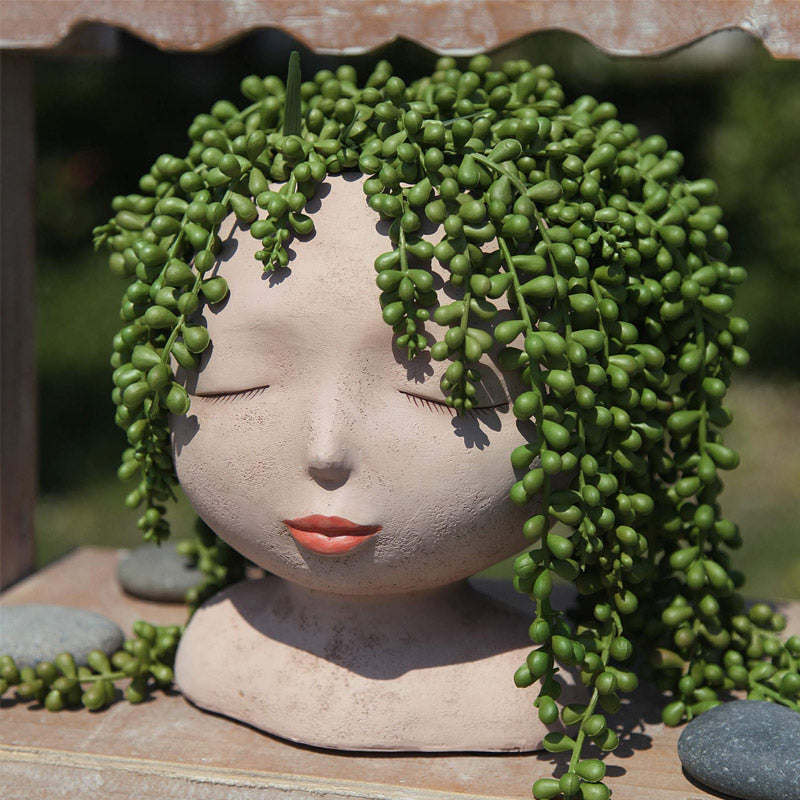 Pot de planteur de visage