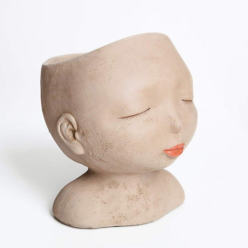 Pot de planteur de visage