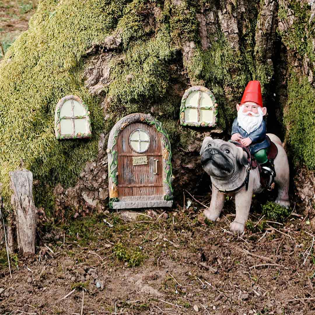 Porta delle fate e finestre per alberi