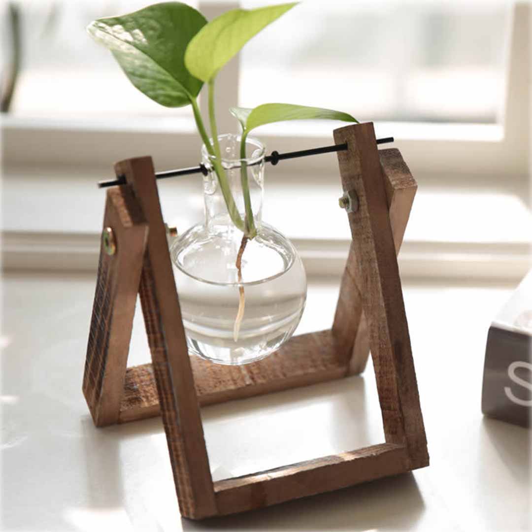 Transparent Glass Bulb Planter