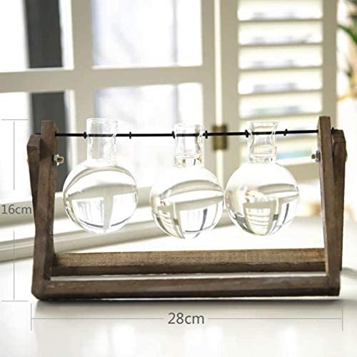 Transparent Glass Bulb Planter