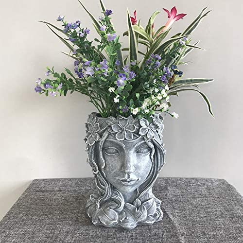 Pot de fleur de visage de fée