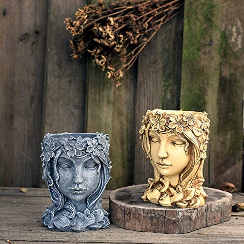 Pot de fleur de visage de fée