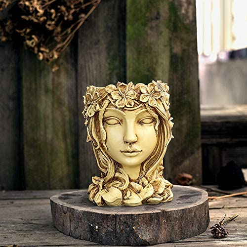 Pot de fleur de visage de fée