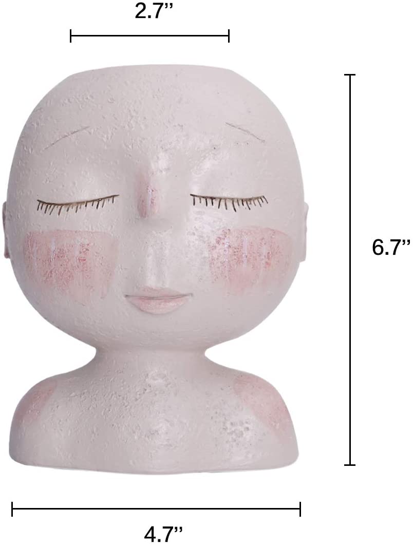 Pot de planteur de visage