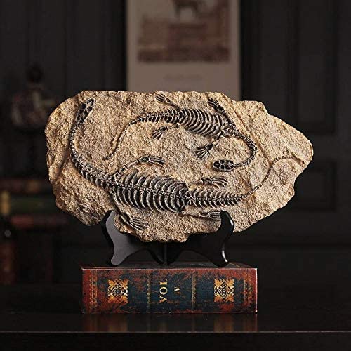 Statue fossile de dinosaure en résine