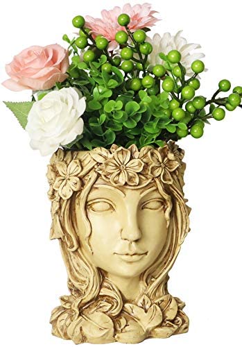 Pot de fleur de visage de fée