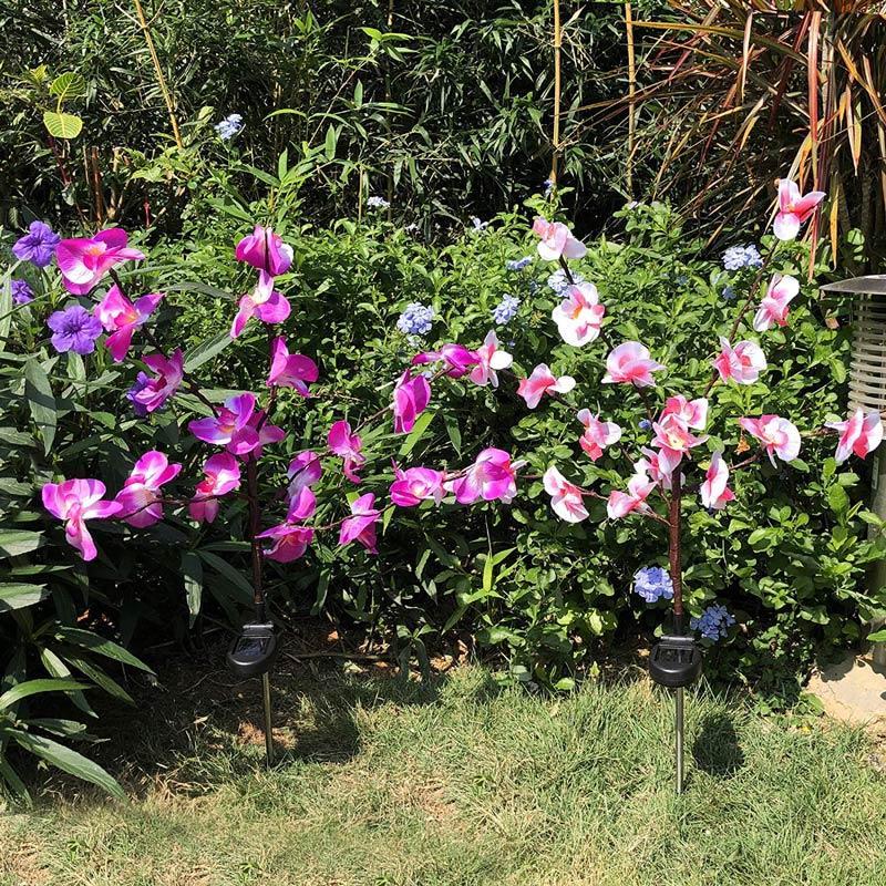 20 lampes d'orchidées solaires à fleurs