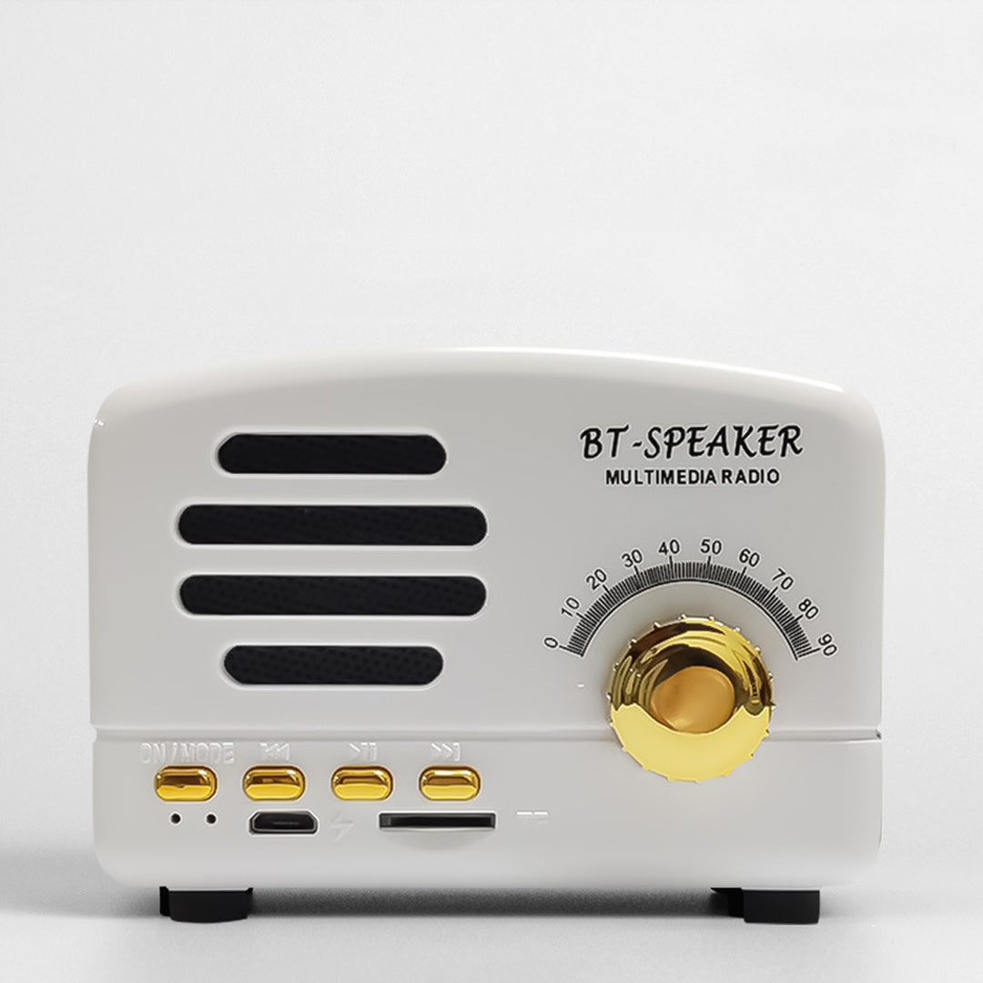 Tragbarer Bluetooth-Lautsprecher im Retro-Stil
