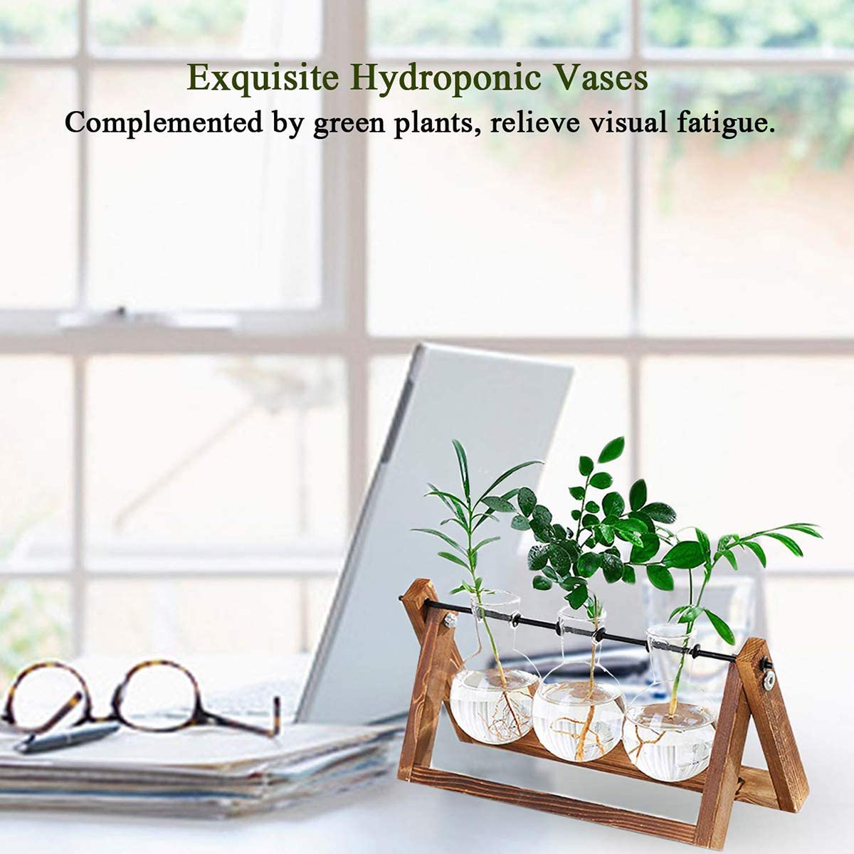 Transparent Glass Bulb Planter