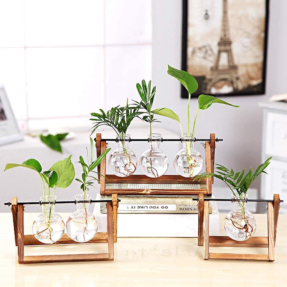 Transparent Glass Bulb Planter