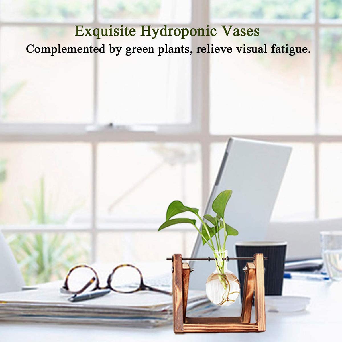 Transparent Glass Bulb Planter