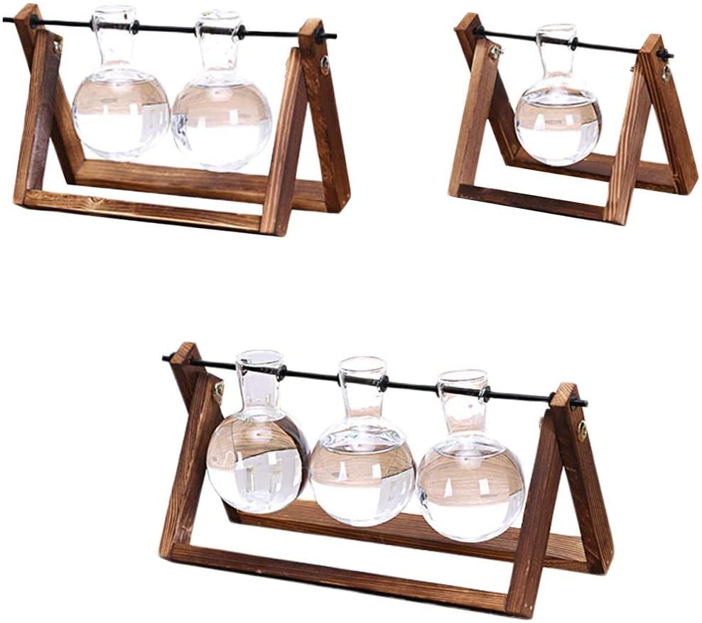 Transparent Glass Bulb Planter