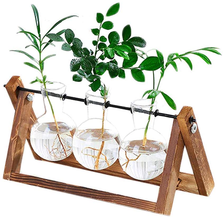 Transparent Glass Bulb Planter