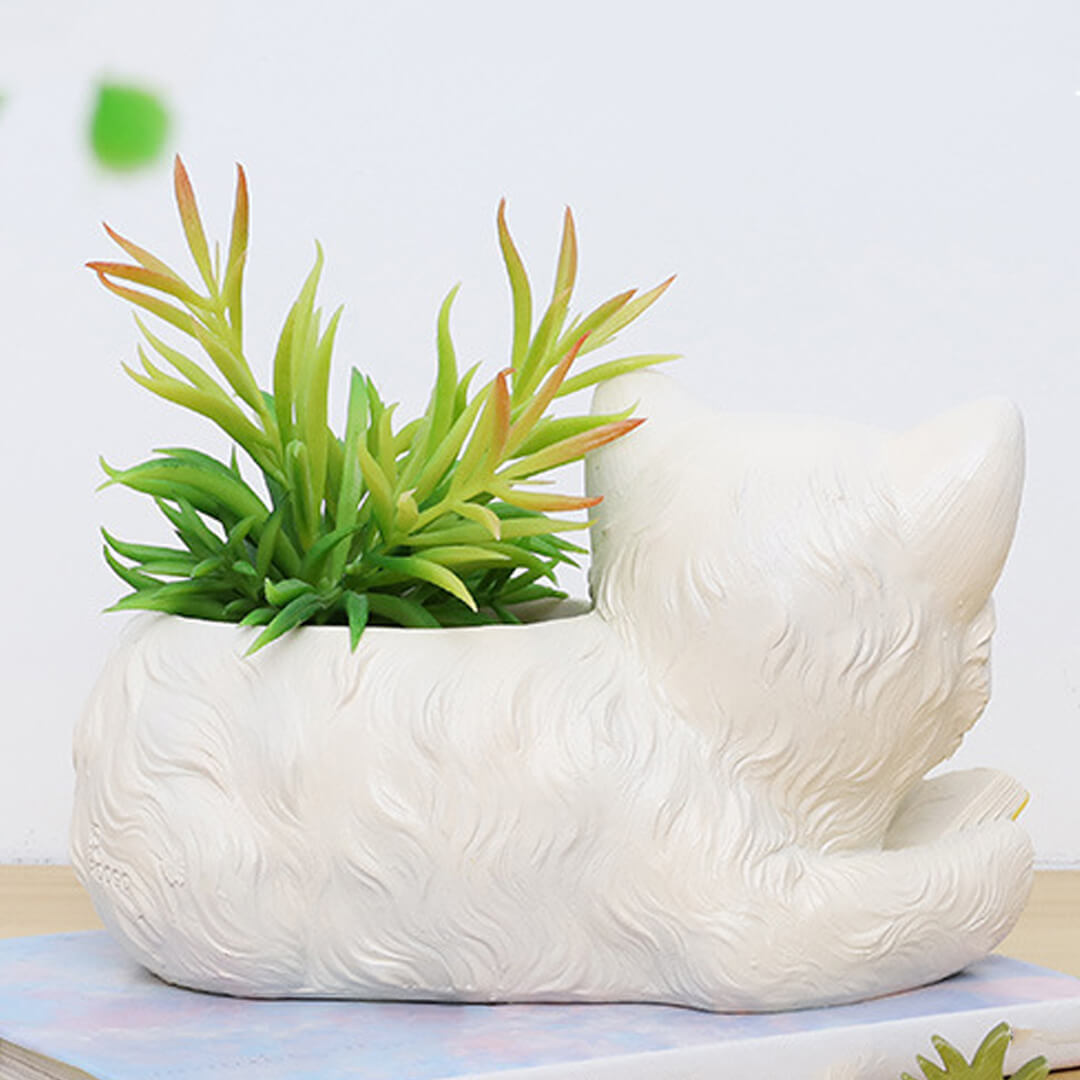 Simpatico gatto succulento vaso di fiori