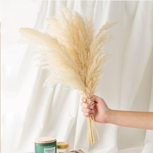 Decoración de estilo vintage de hierba de pampa