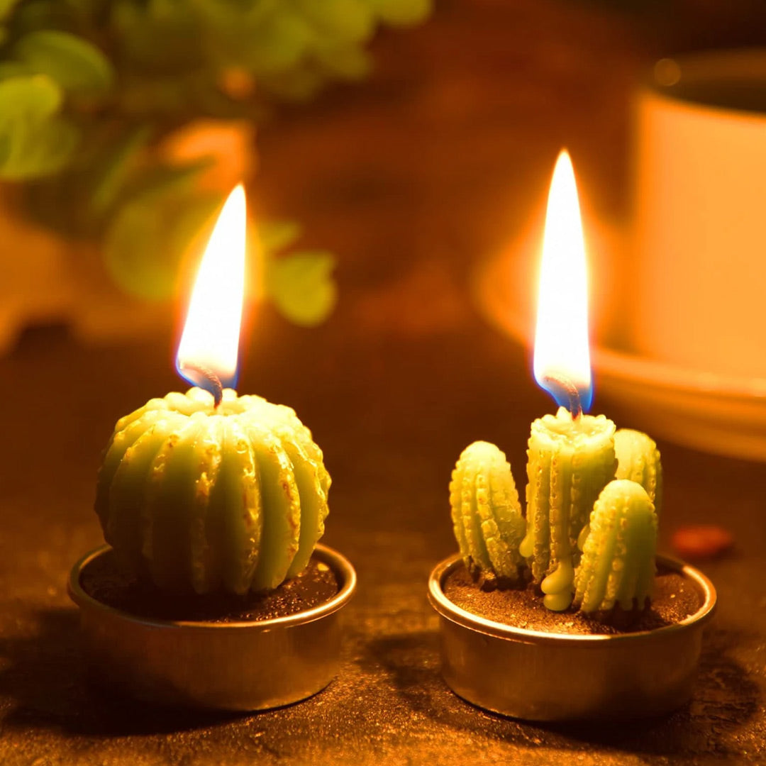 12 piezas hermosas velas de cactus