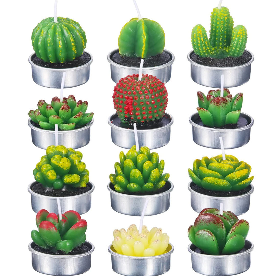 12 piezas hermosas velas de cactus