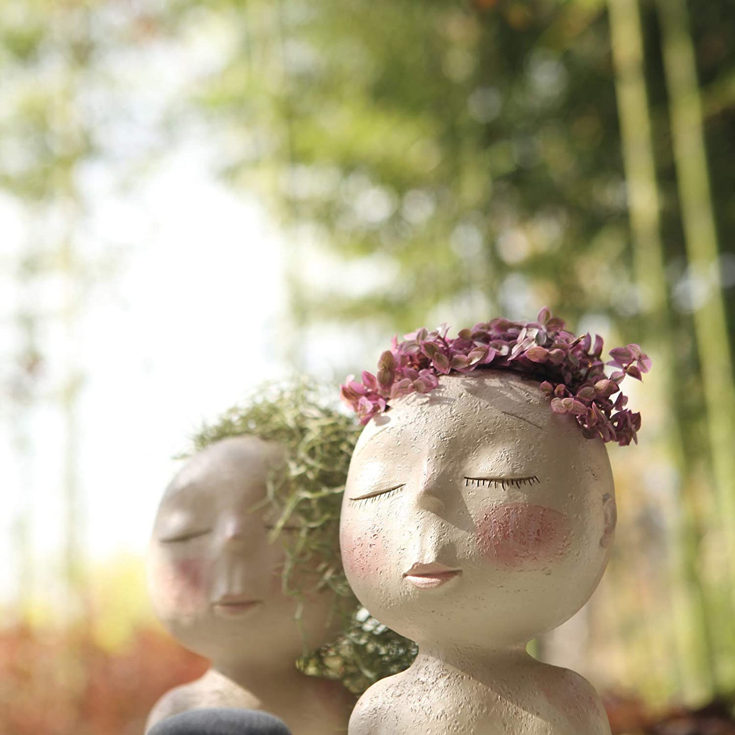 Pot de planteur de visage