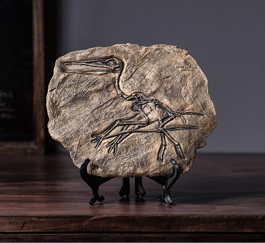 Resin Dinosaur Fossil Statue