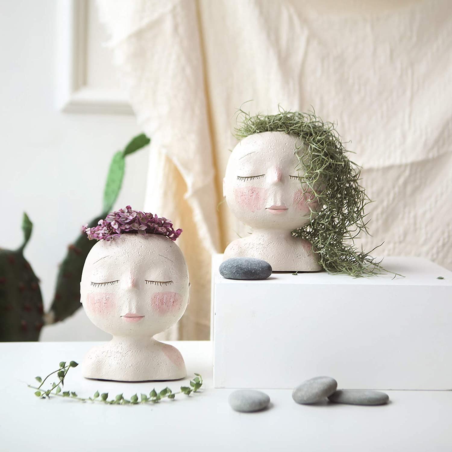 Pot de planteur de visage