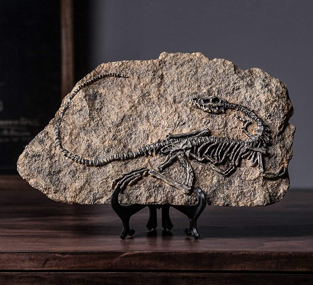 Resin Dinosaur Fossil Statue