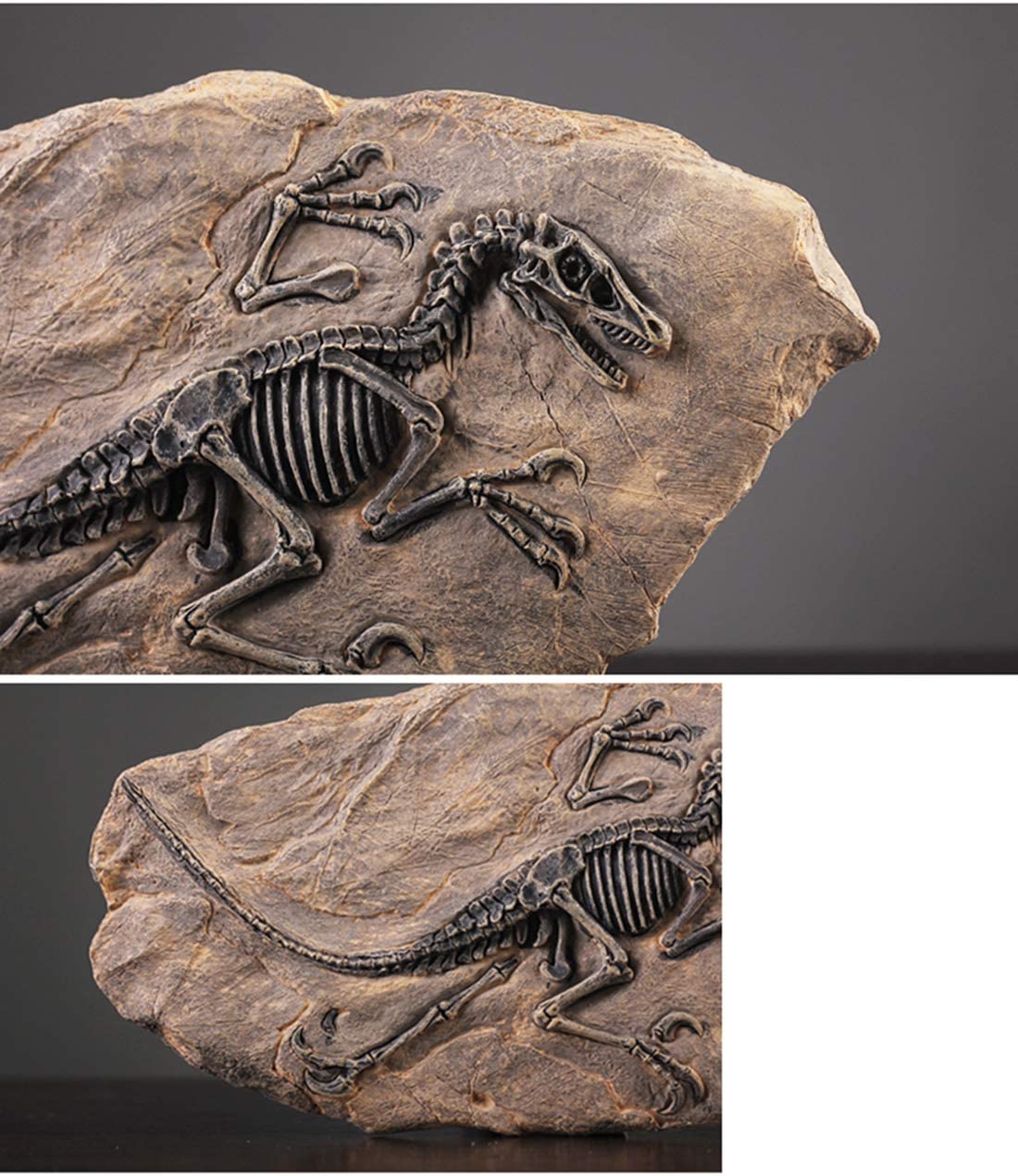 Statua fossile di dinosauro in resina