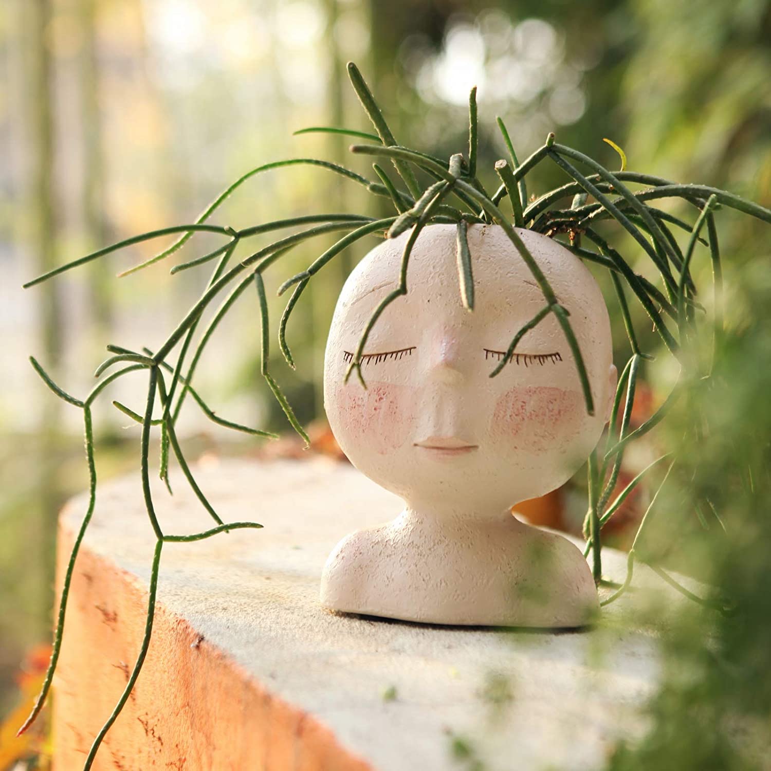 Pot de planteur de visage