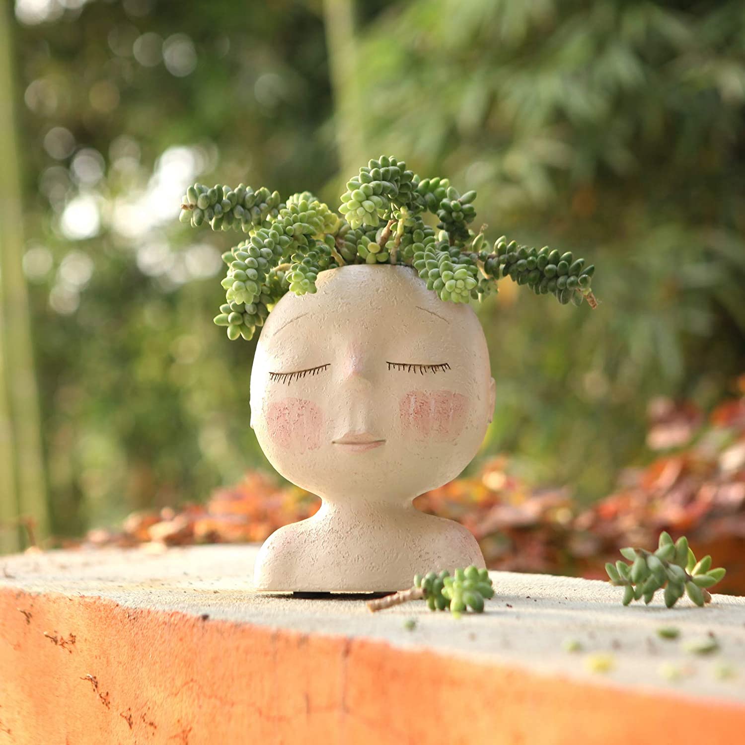 Pot de planteur de visage