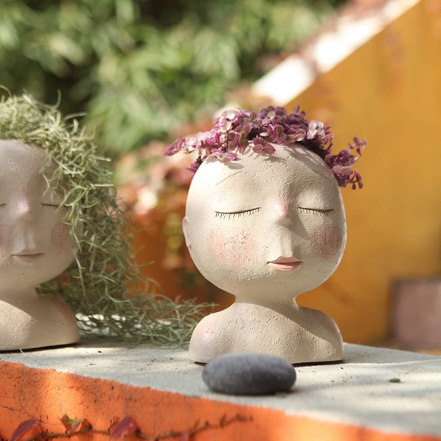Pot de planteur de visage