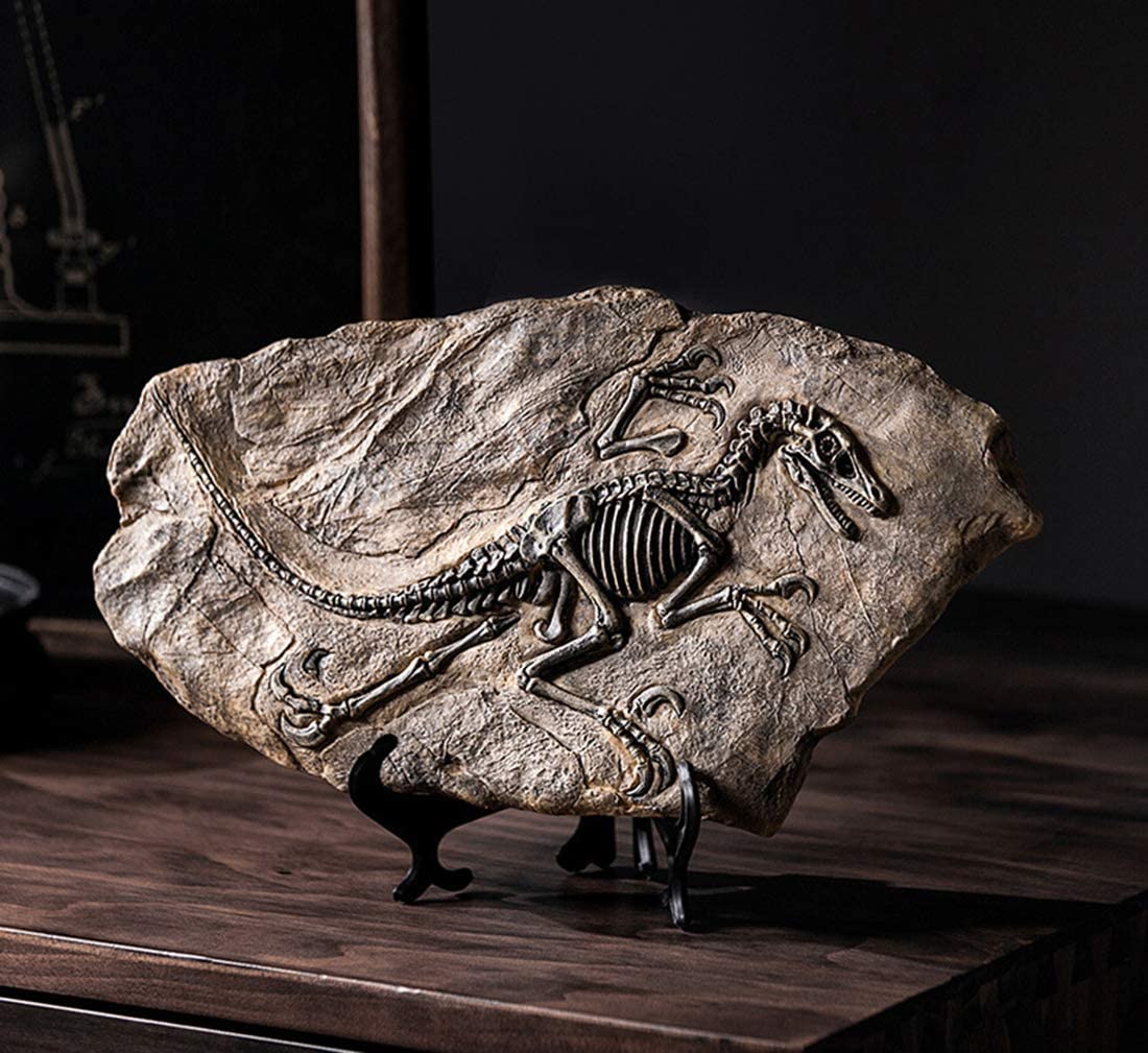 Estatua fósil de dinosaurio de resina