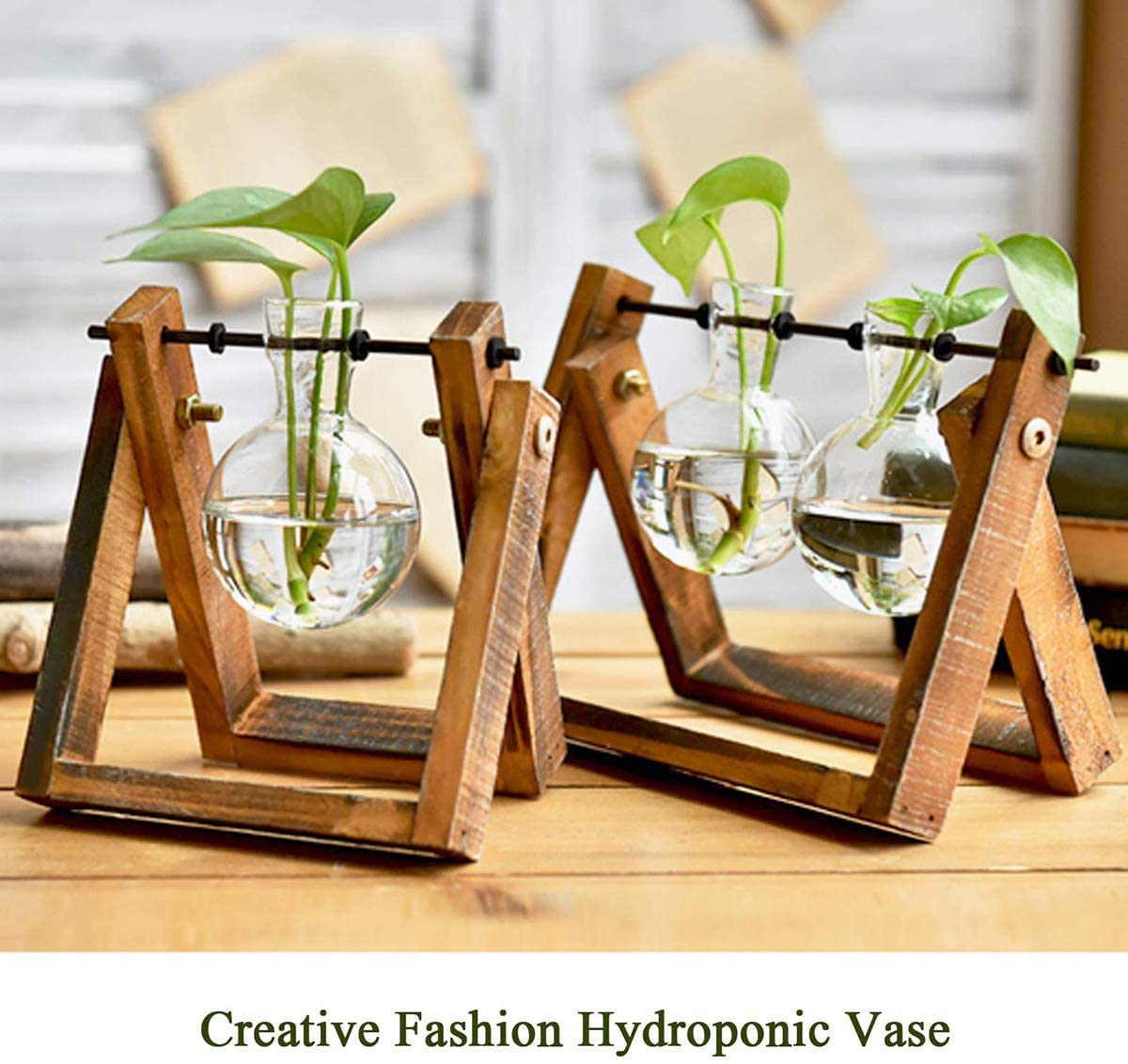 Transparent Glass Bulb Planter
