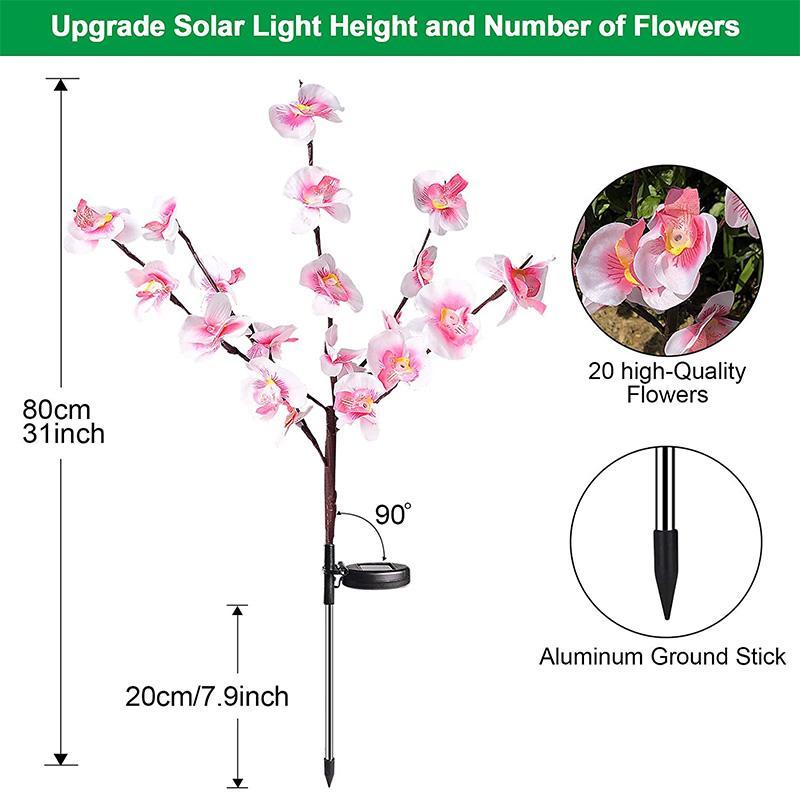 20 lampes d'orchidées solaires à fleurs