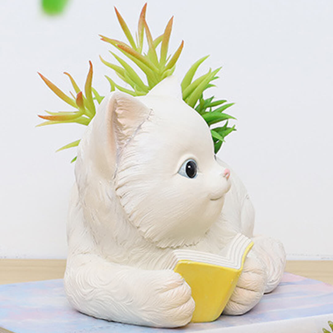 Linda maceta de flores suculentas de gato