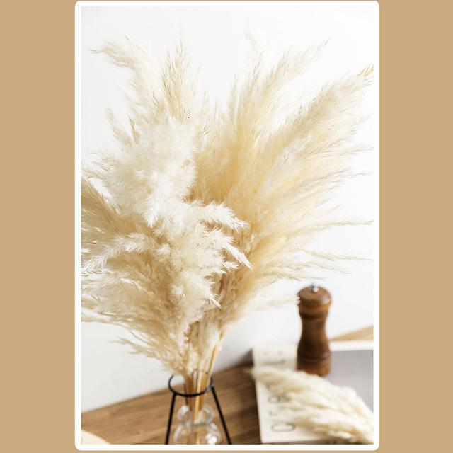Decoración de estilo vintage de hierba de pampa