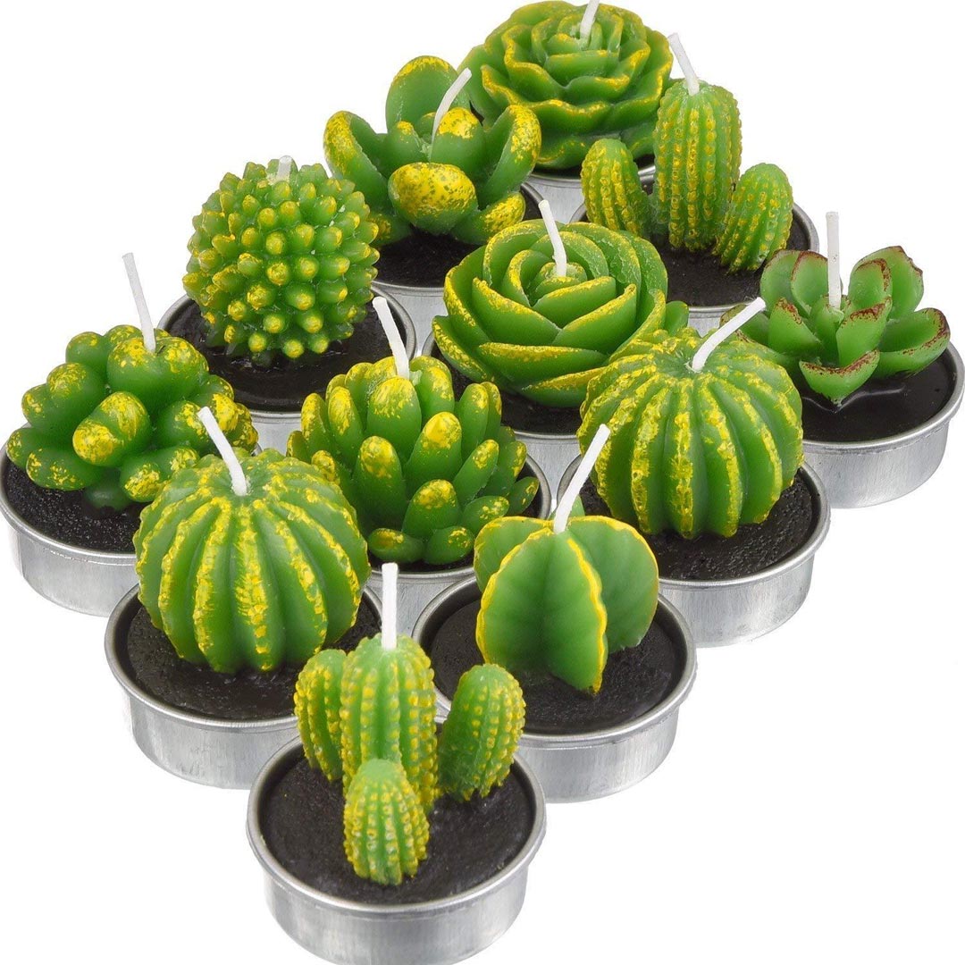 12 piezas hermosas velas de cactus