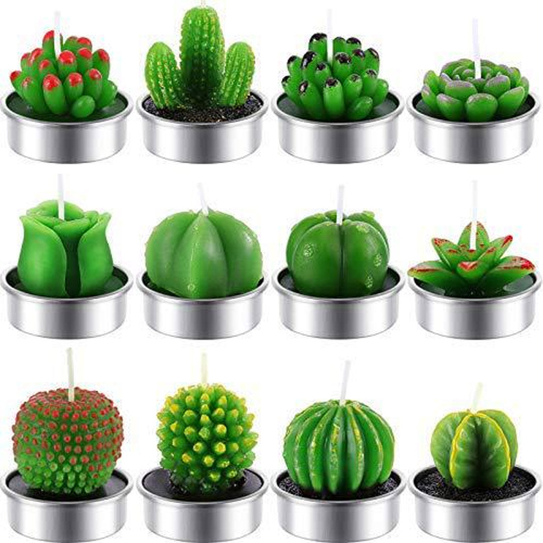12 piezas hermosas velas de cactus