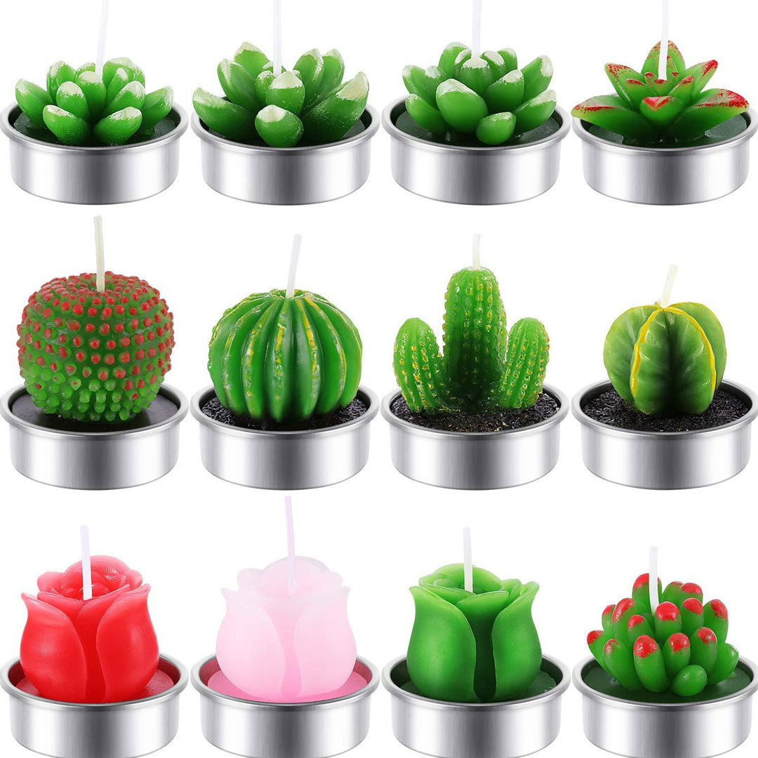 12 piezas hermosas velas de cactus