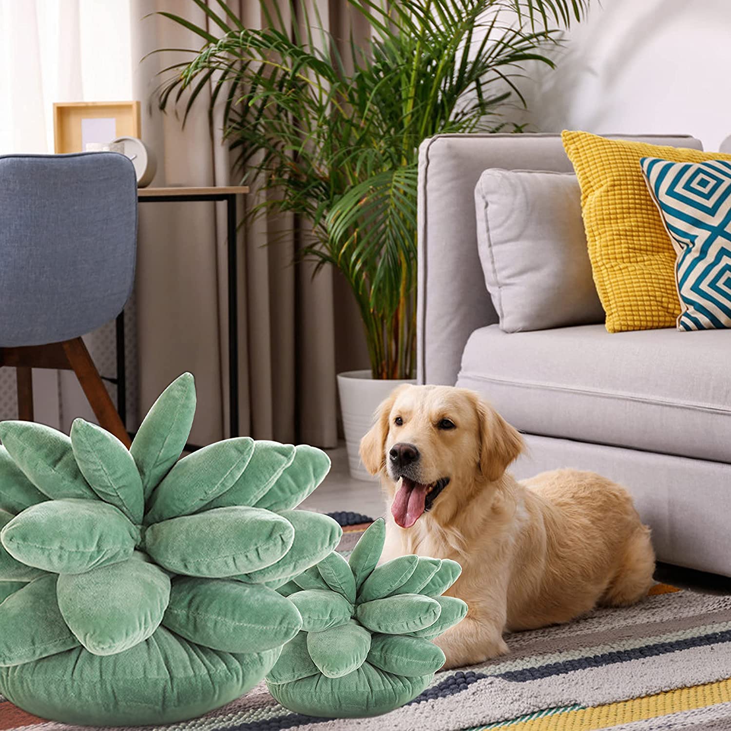 3D Succulents Cactus Pillow