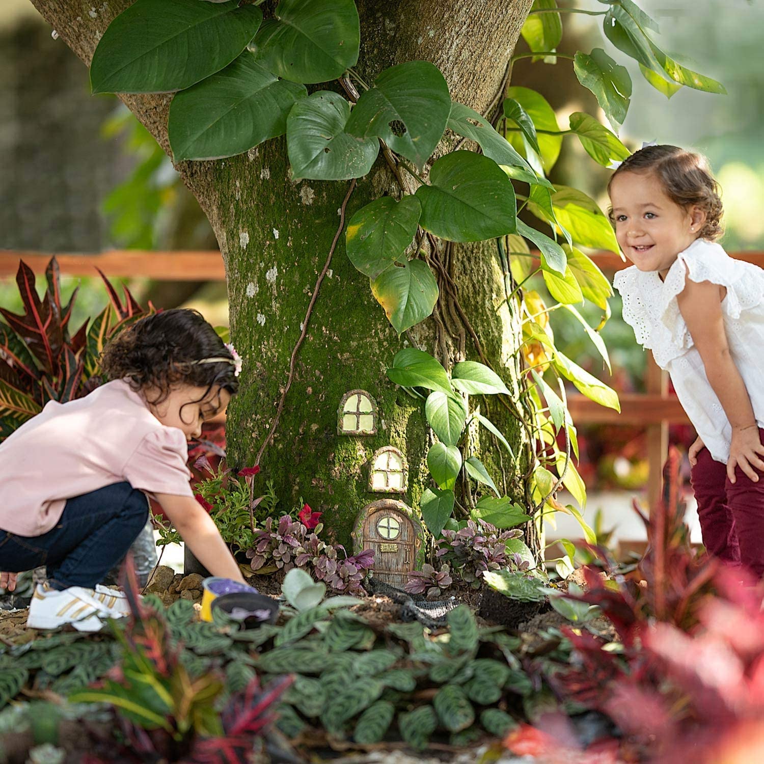 Fairy Door and Windows for Trees