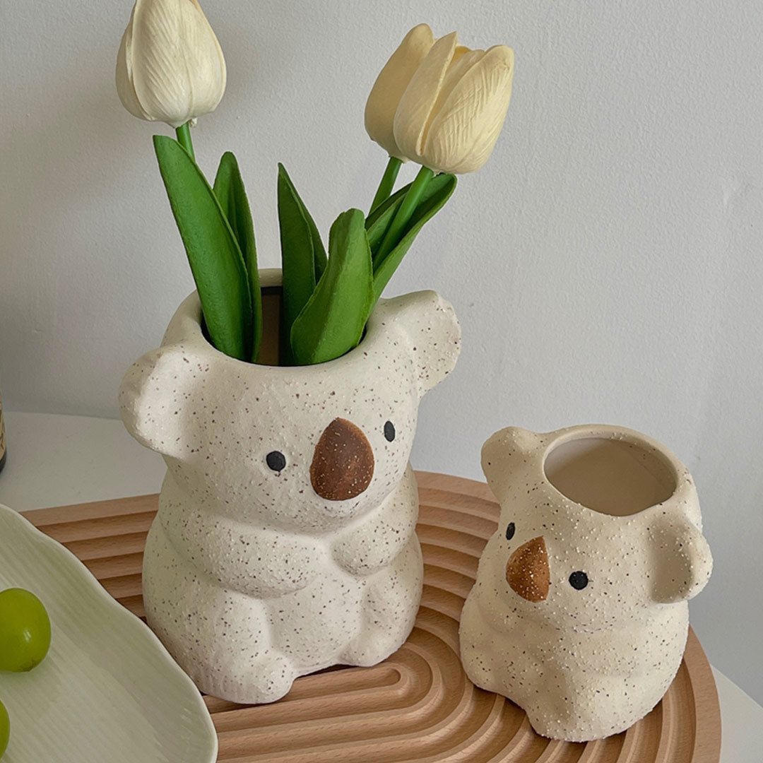 Vaso succulento dell'orso koala