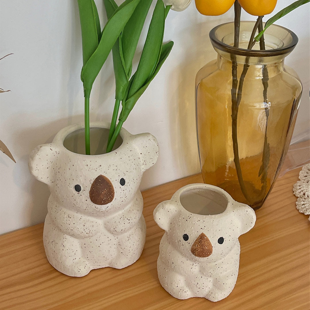 Vaso succulento dell'orso koala