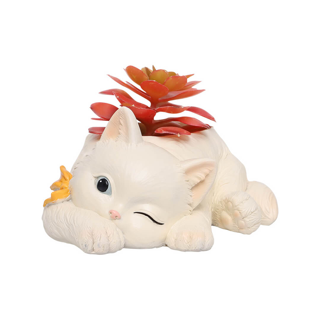 Linda maceta de flores suculentas de gato