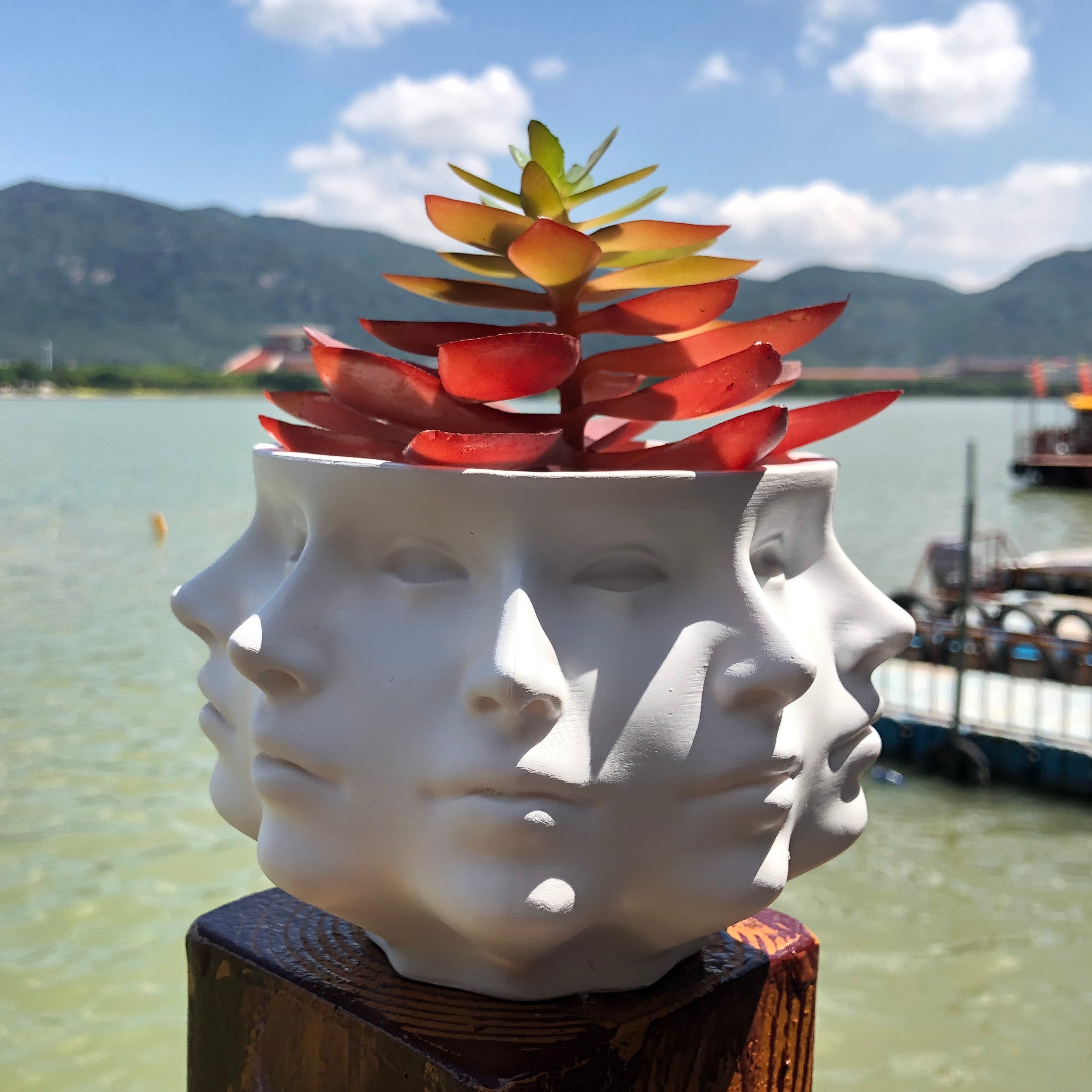 Pot de fleur polyface