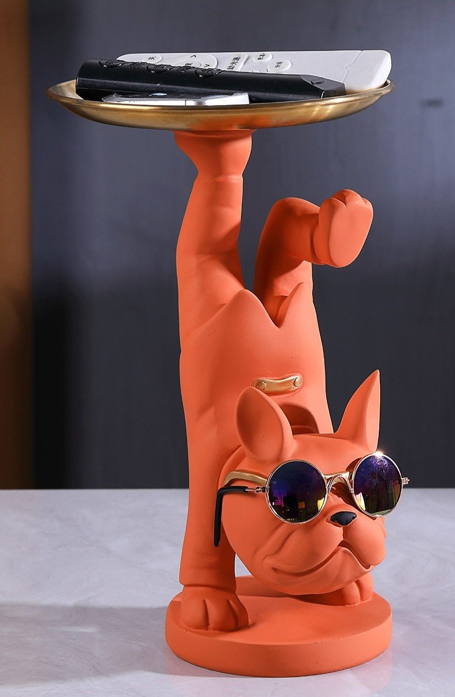 Bandeja Cool Dog con postura de una pierna