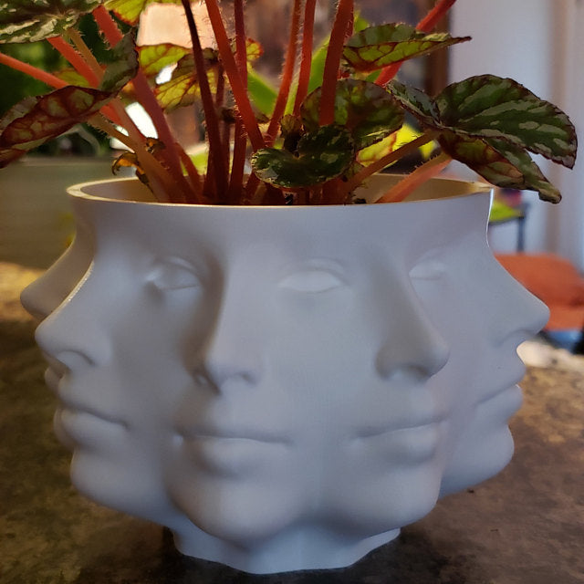 Pot de fleur polyface