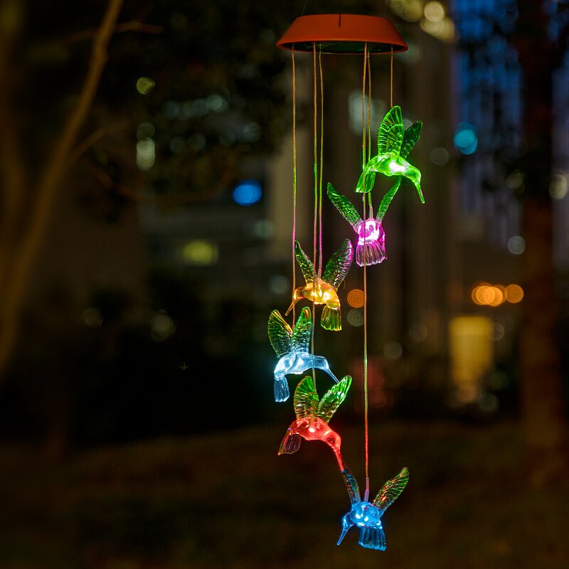 Lumières de colibri pendantes à énergie solaire