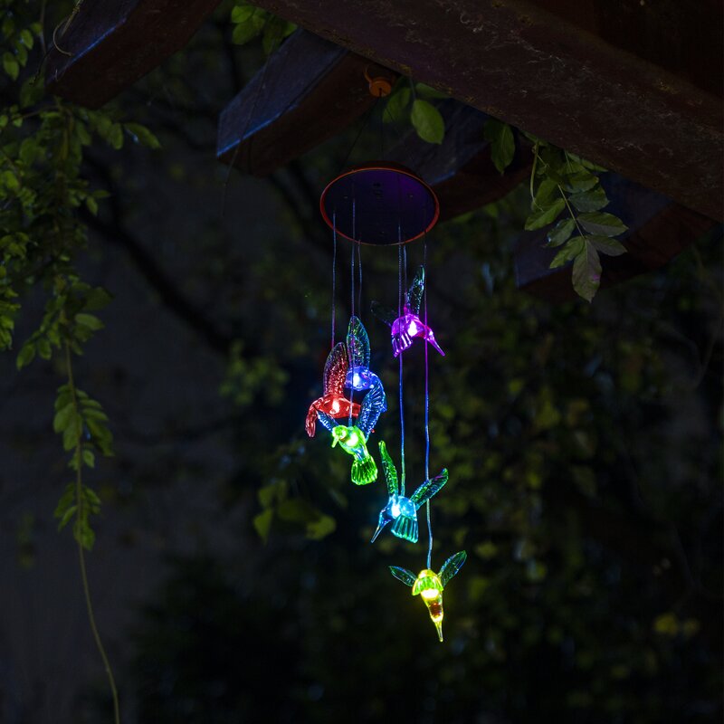 Lumières de colibri pendantes à énergie solaire